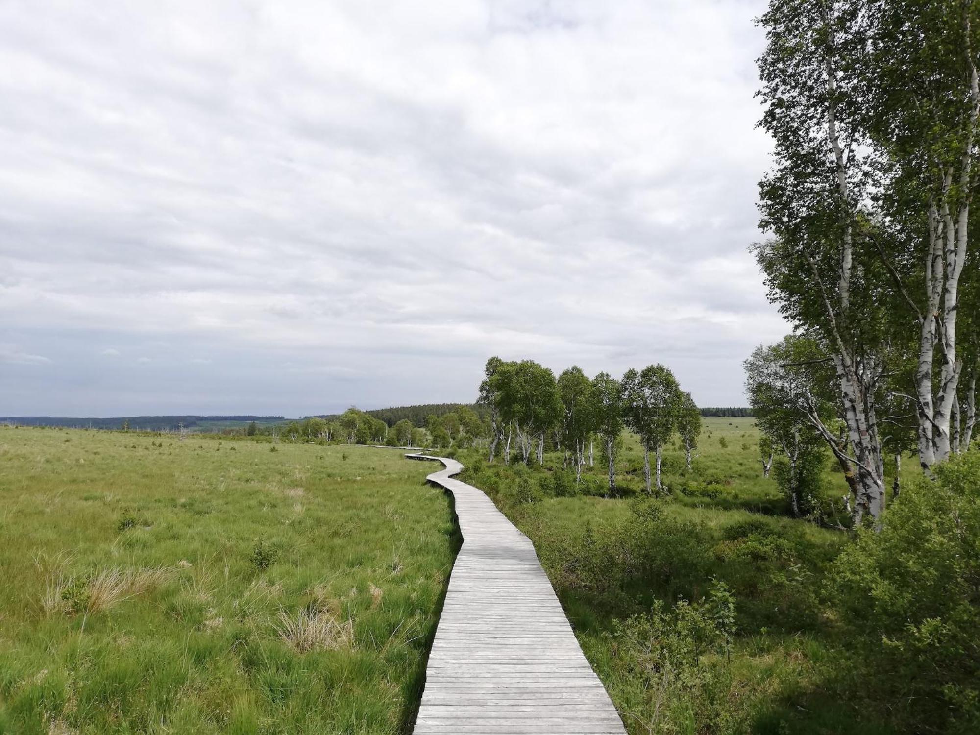 Picture Perfect Holiday Home In Sourbrodt With Garden Bbq Exteriér fotografie
